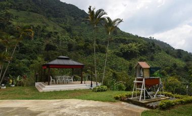 VENTA DE FINCA HOTEL SECTOR BUENAVISTA QUINDIO
