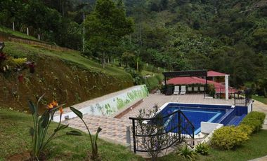 VENTA DE FINCA HOTEL SECTOR BUENAVISTA QUINDIO