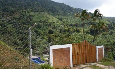 VENTA DE FINCA HOTEL SECTOR BUENAVISTA QUINDIO
