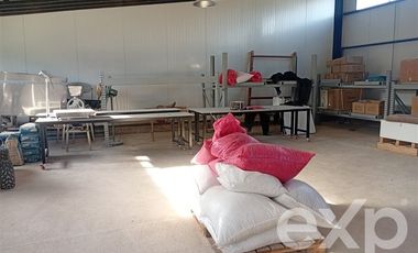 Agrícola en Venta en Camino San Martín, sector Las Mercedes, María Pinto