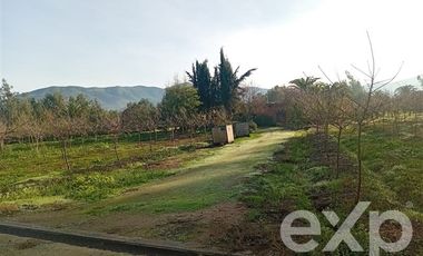 Agrícola en Venta en Camino San Martín, sector Las Mercedes, María Pinto