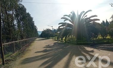 Agrícola en Venta en Camino San Martín, sector Las Mercedes, María Pinto