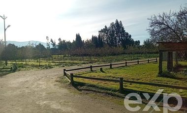 Agrícola en Venta en Camino San Martín, sector Las Mercedes, María Pinto