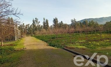 Agrícola en Venta en Camino San Martín, sector Las Mercedes, María Pinto