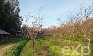 Agrícola en Venta en Camino San Martín, sector Las Mercedes, María Pinto