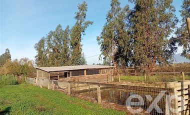 Agrícola en Venta en Camino San Martín, sector Las Mercedes, María Pinto