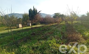 Agrícola en Venta en Camino San Martín, sector Las Mercedes, María Pinto