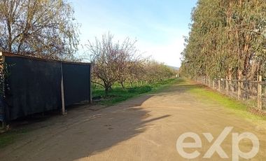 Agrícola en Venta en Camino San Martín, sector Las Mercedes, María Pinto