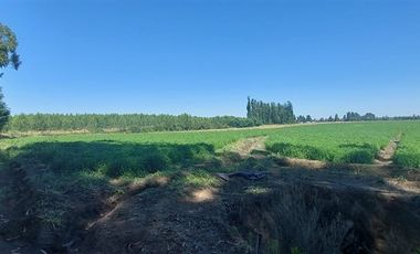 Agrícola en Venta en Gran Oportunidad Se Vende Campo Agrícola 18 hec en el Sector el Retiro Talca