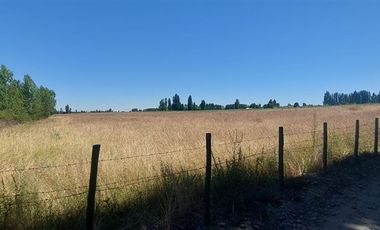 Terreno Construccion  en Venta en Gran Oportunidad Se Vende Campo Agrícola 18 hec en el Sector el Retiro Talca