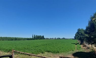 Terreno Construccion  en Venta en Gran Oportunidad Se Vende Campo Agrícola 18 hec en el Sector el Retiro Talca