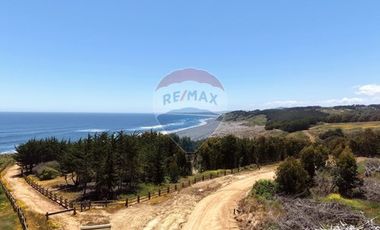 Primera Linea, Naturaleza indomita