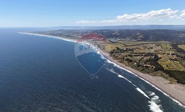 Primera Linea, Naturaleza indomita