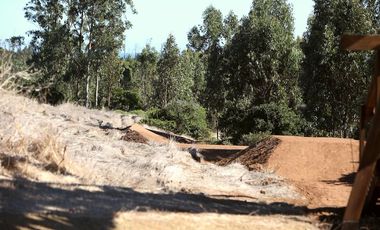 Primera Linea, Naturaleza indomita