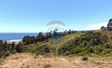 Primera Linea, Naturaleza indomita