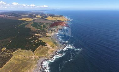 Primera Linea, Naturaleza indomita