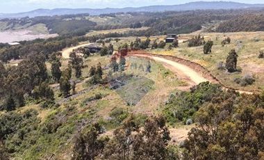 Primera Linea, Naturaleza indomita