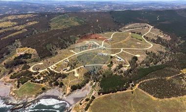 Primera Linea, Naturaleza indomita