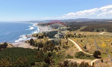 Primera Linea, Naturaleza indomita