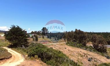 Primera Linea, Naturaleza indomita