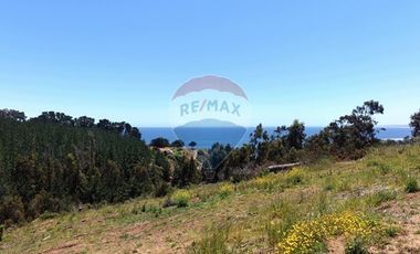 Primera Linea, Naturaleza indomita