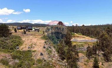Primera Linea, Naturaleza indomita