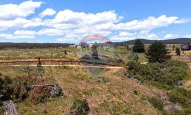 Primera Linea, Naturaleza indomita