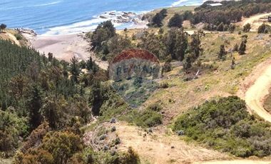 Primera Linea, Naturaleza indomita