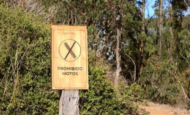 Primera Linea, Naturaleza indomita