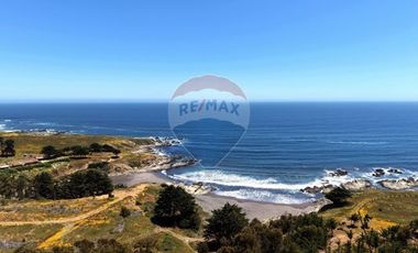 Primera Linea, Naturaleza indomita