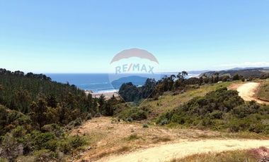 Primera Linea, Naturaleza indomita