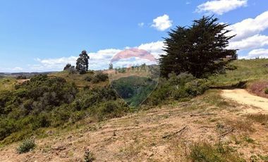 Primera Linea, Naturaleza indomita