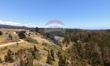 Primera Linea, Naturaleza indomita