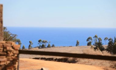 Primera Linea, Naturaleza indomita