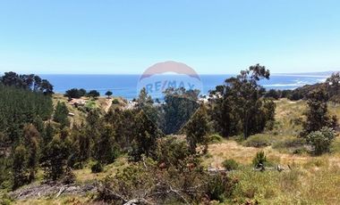 Primera Linea, Naturaleza indomita