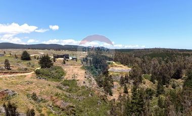 Primera Linea, Naturaleza indomita