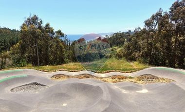 Primera Linea, Naturaleza indomita