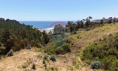 Primera Linea, Naturaleza indomita