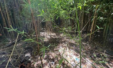 Terreno en  Merlo Centro