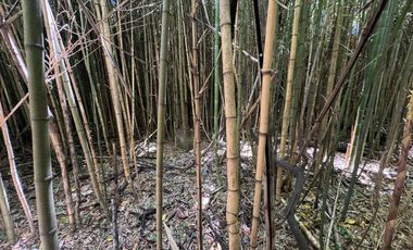 Terreno en  Merlo Centro