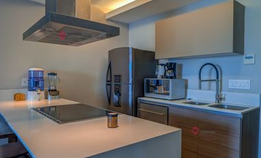 Departamento en renta de lujo amueblado en Park Life