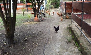 Casa en venta Fraccionamiento Ticuman