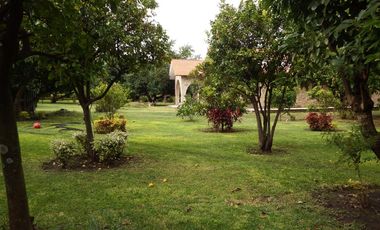 Casa en venta Fraccionamiento Ticuman