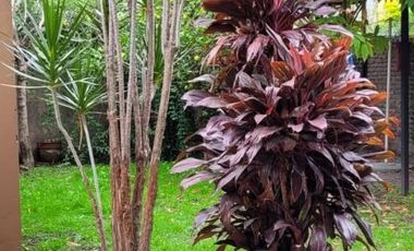 Casa en venta - 3 Dormitorios 1 Baño - Cochera - 278Mts2 - Florencio Varela