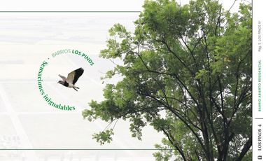 Venta Terreno Los Pinos 4  Álvarez