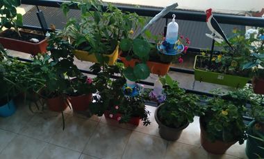 Departamento en venta - 1 Dormitorio 1 Baño - 50Mts2 - Avellaneda