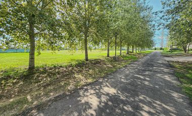 Terreno escriturado en Haras de Funes