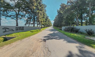 Terreno escriturado en Haras de Funes
