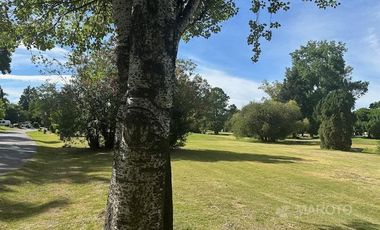 CASA EN ALQUILER ANUAL EN LOS HORNEROS C.C.-MAROTO PROPIEDADES
