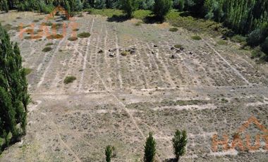 Chacra en  Sargento Vidal